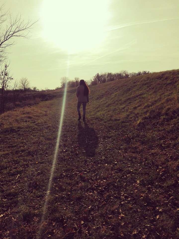 Walk in the forest