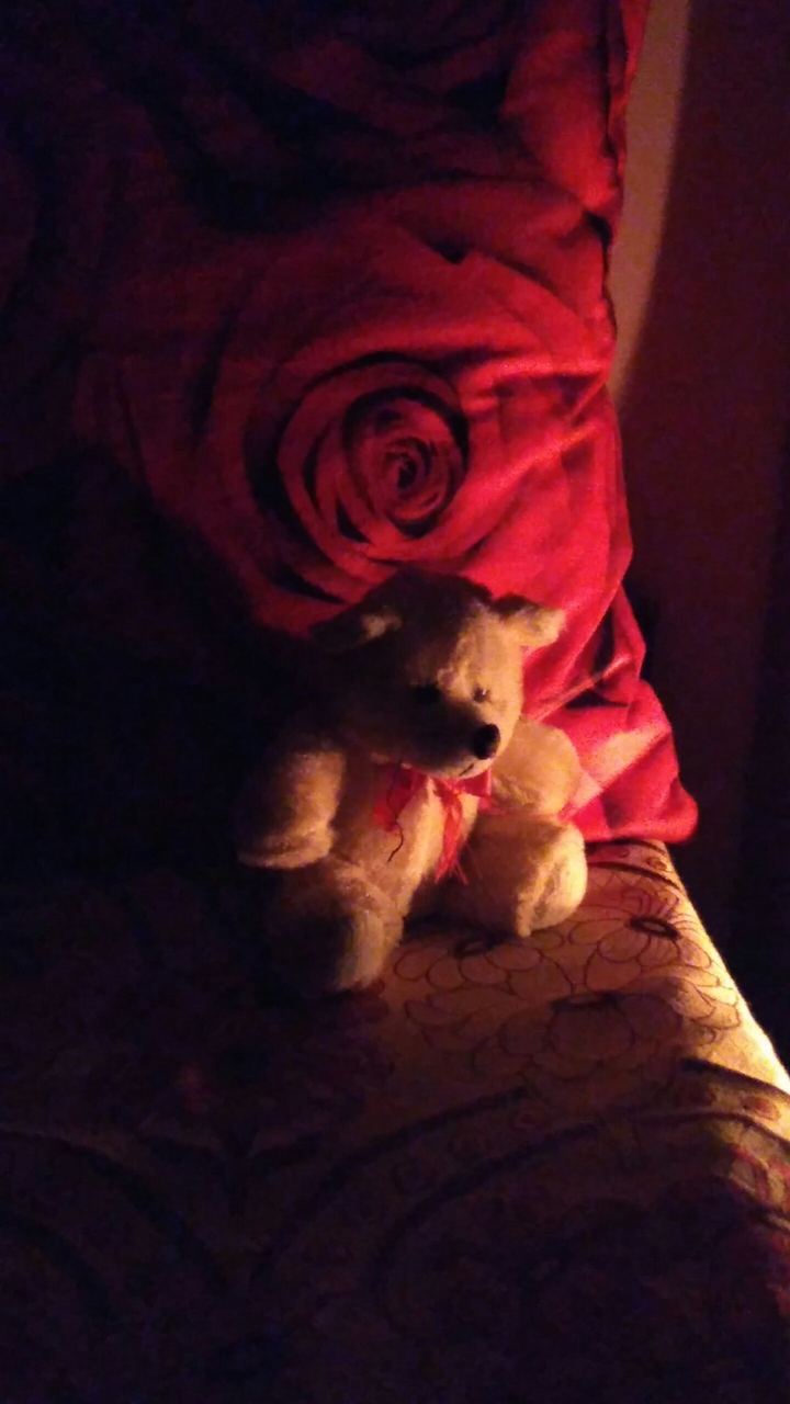 Teddy!