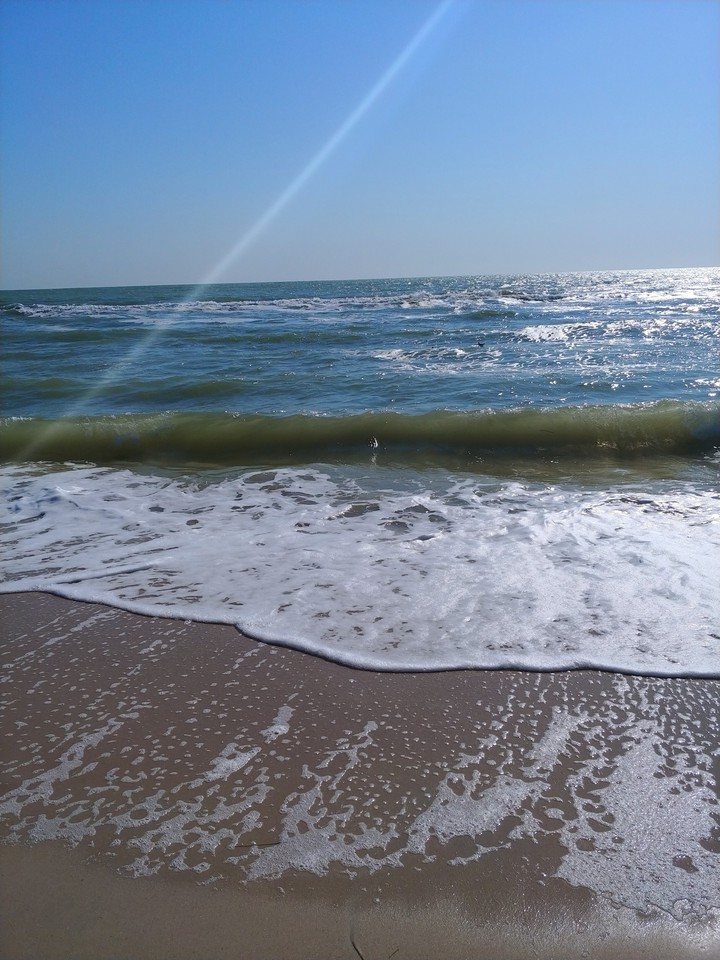 Sea