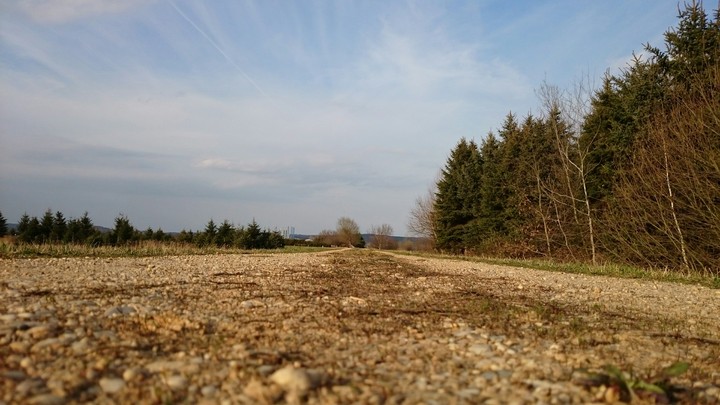 Tavaszi