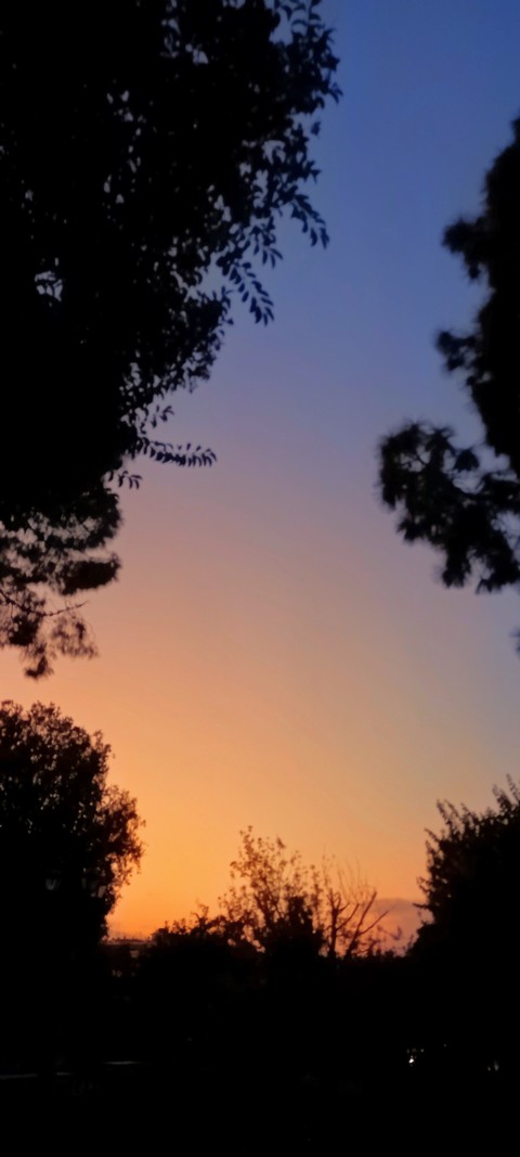 Autumn sky! (click)