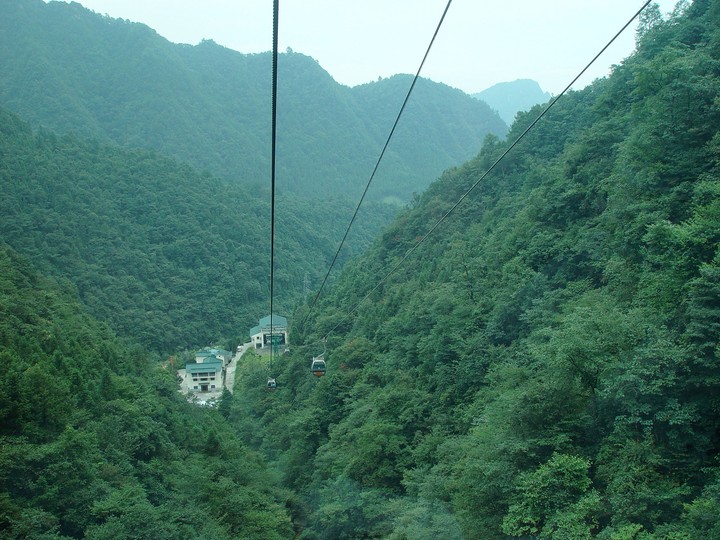 Scenics