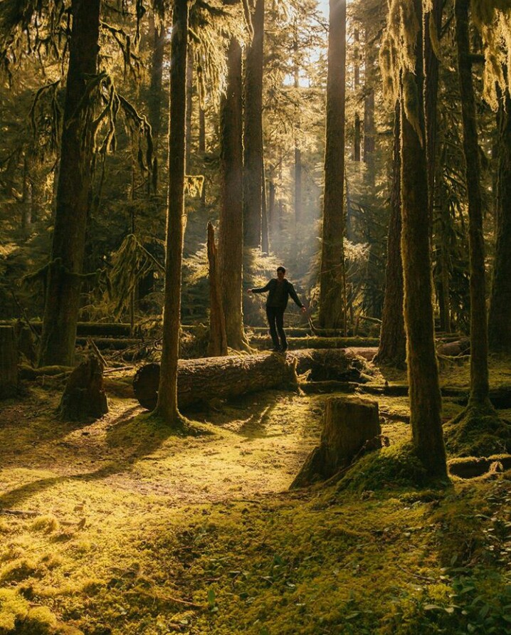 Standing in the forest