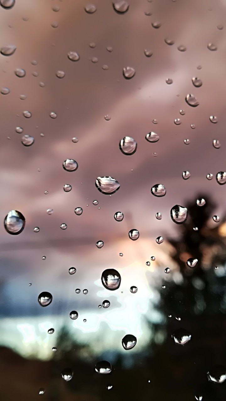 Gouttelettes de pluie 