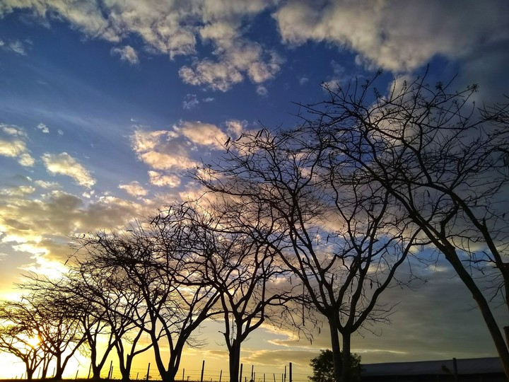 love the sky