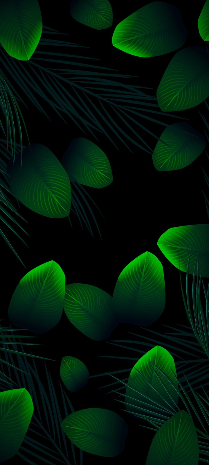 Leaves