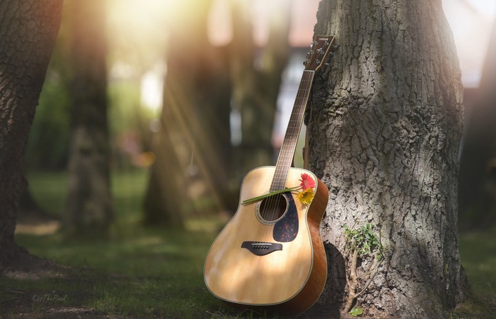 guitar