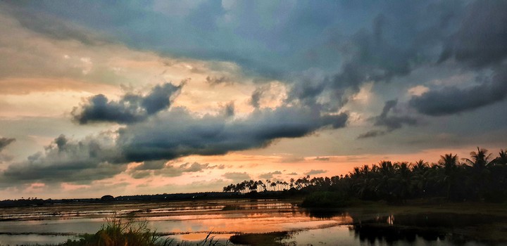 nature