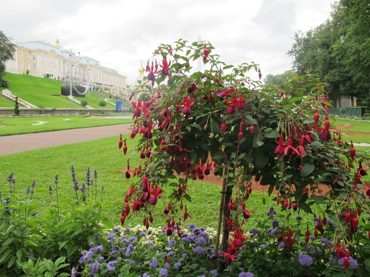 Saint Petersburg