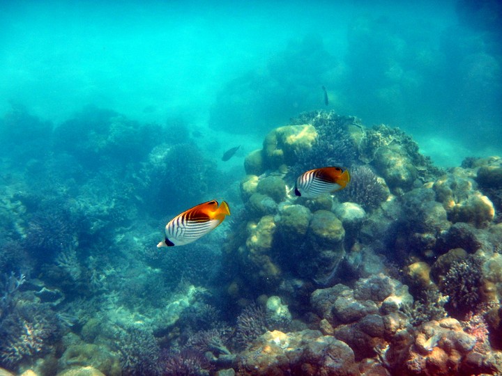 Great Barrier Reef