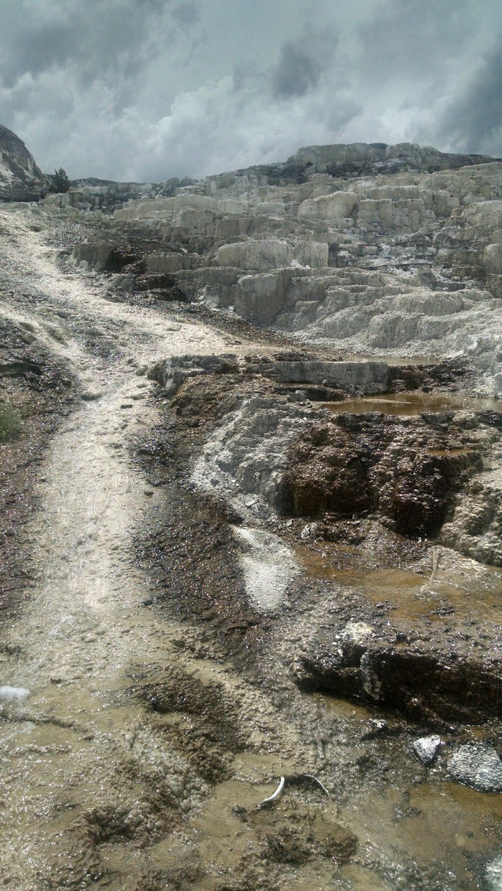Mammoth Hot Springs