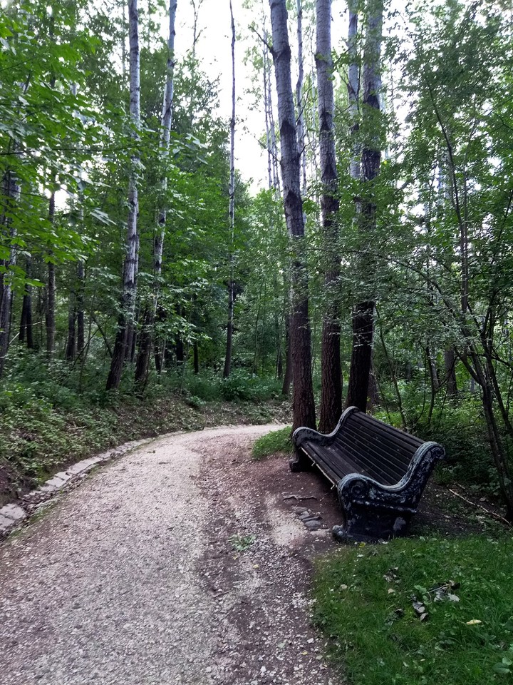 love nature