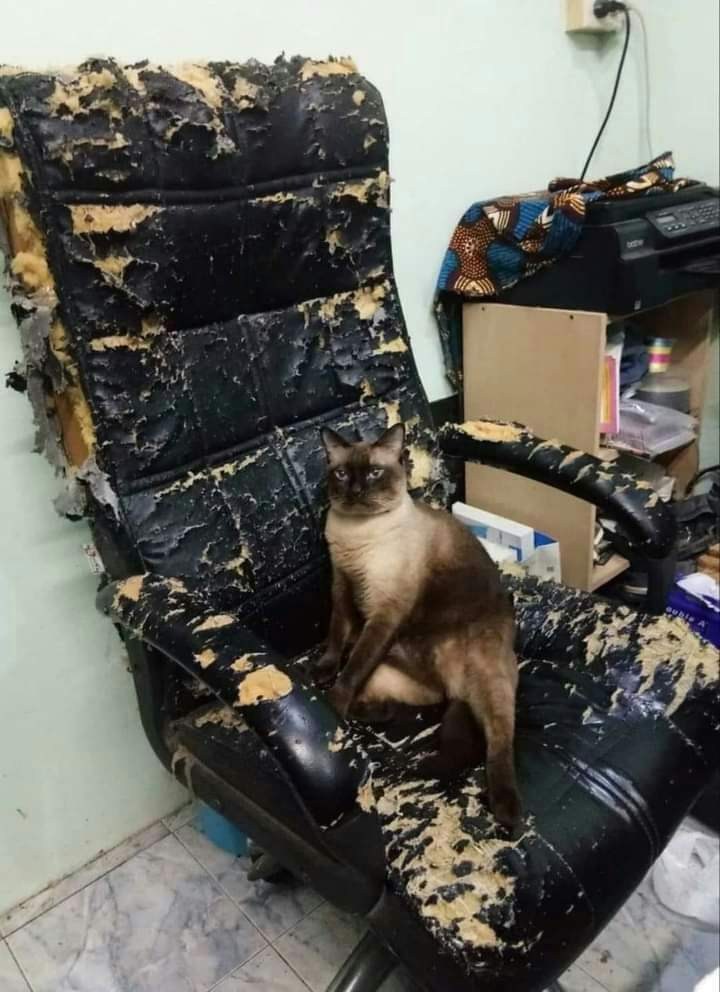 ?????