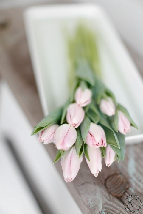 tapety petal, event