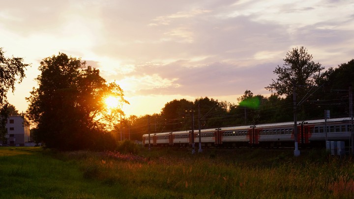 Train