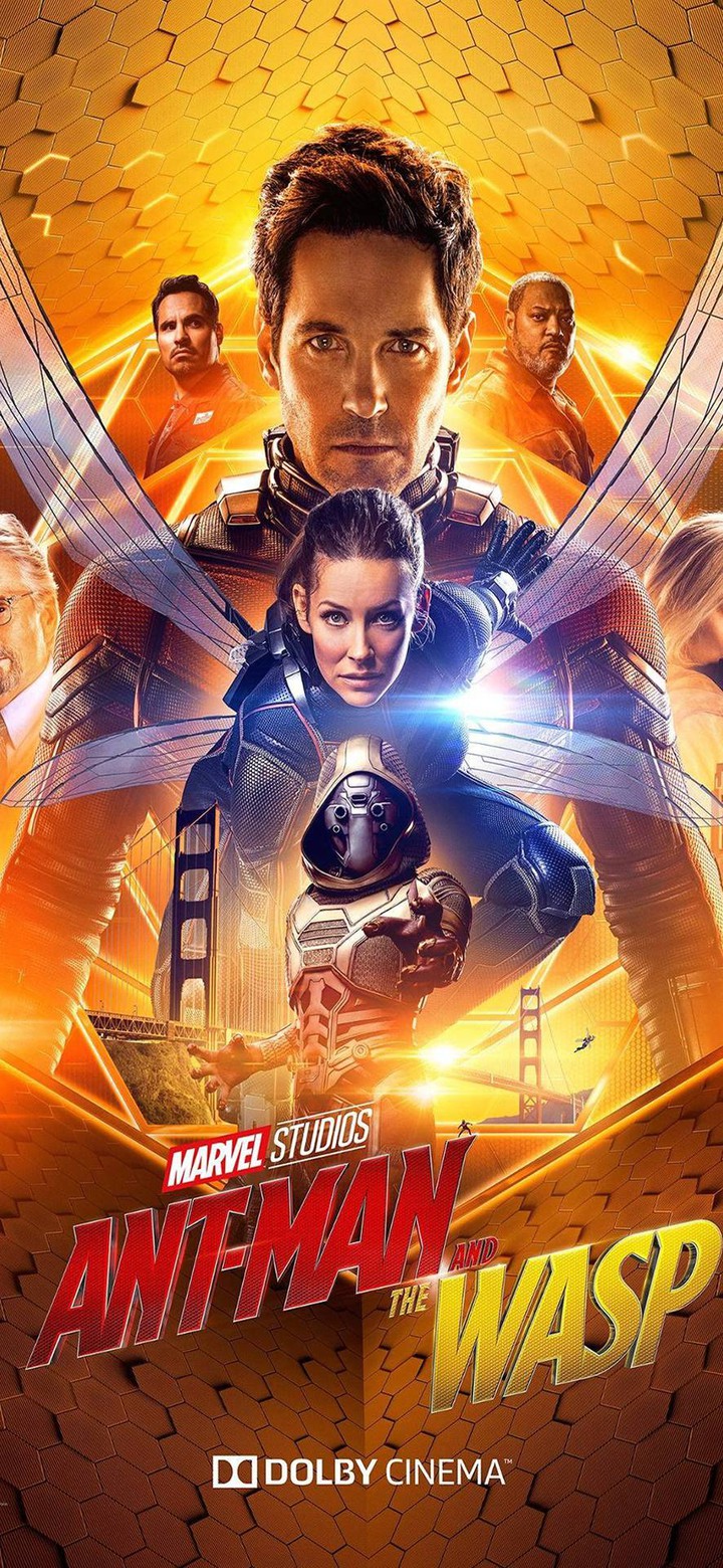 Ant Man and the Wasp