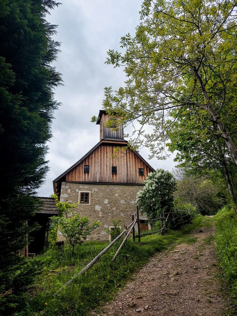 plant, wood háttérképek