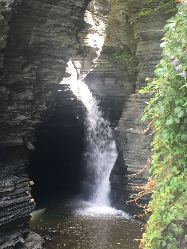 Nature