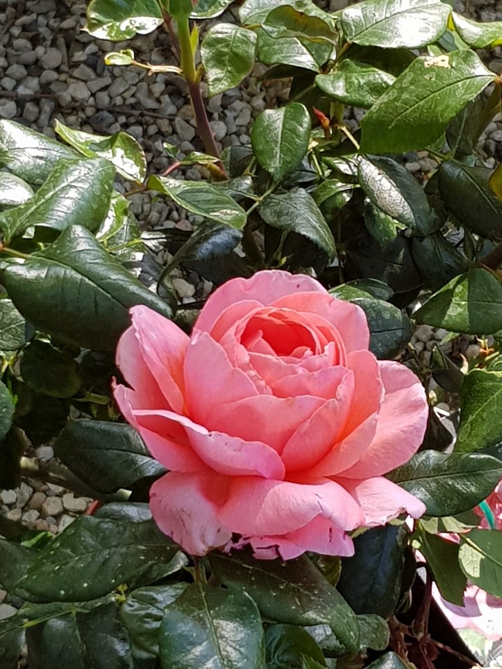 sérénité