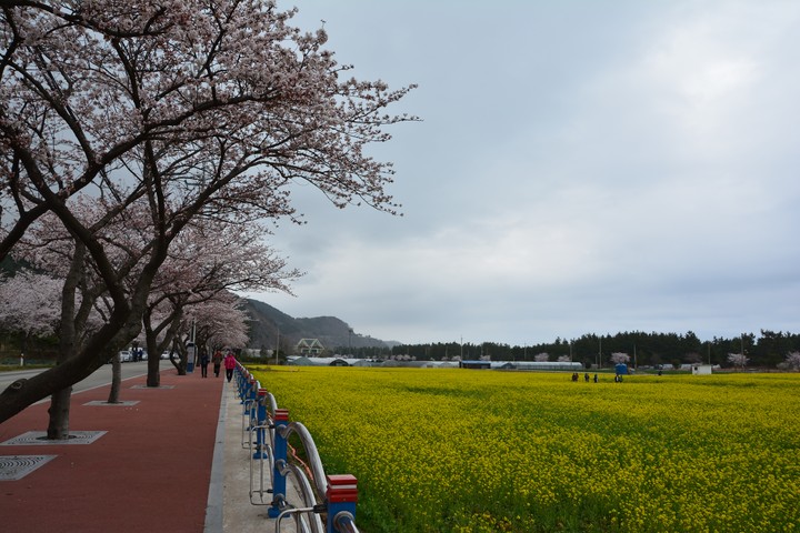풍경이미지