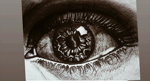 the eye