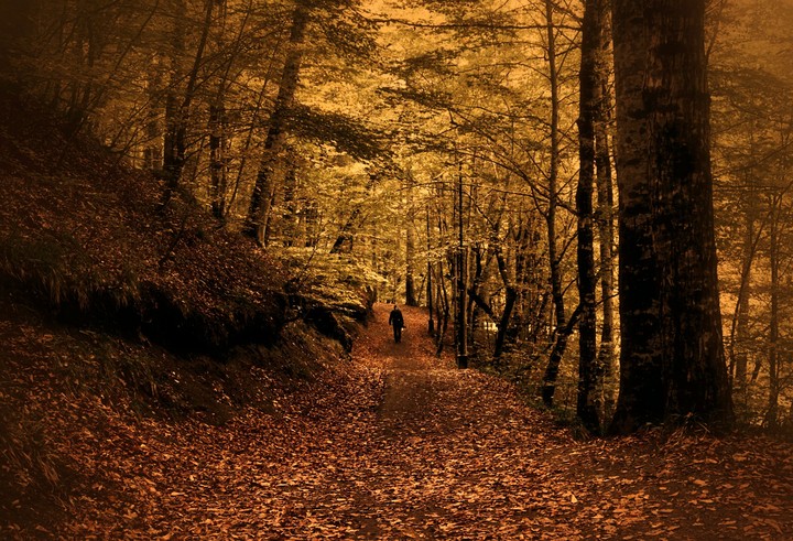 autumn