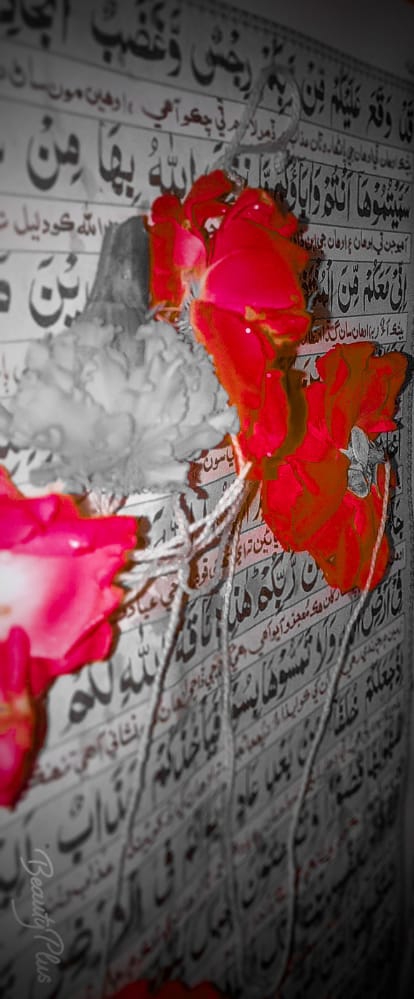 THE HOLY QURAN