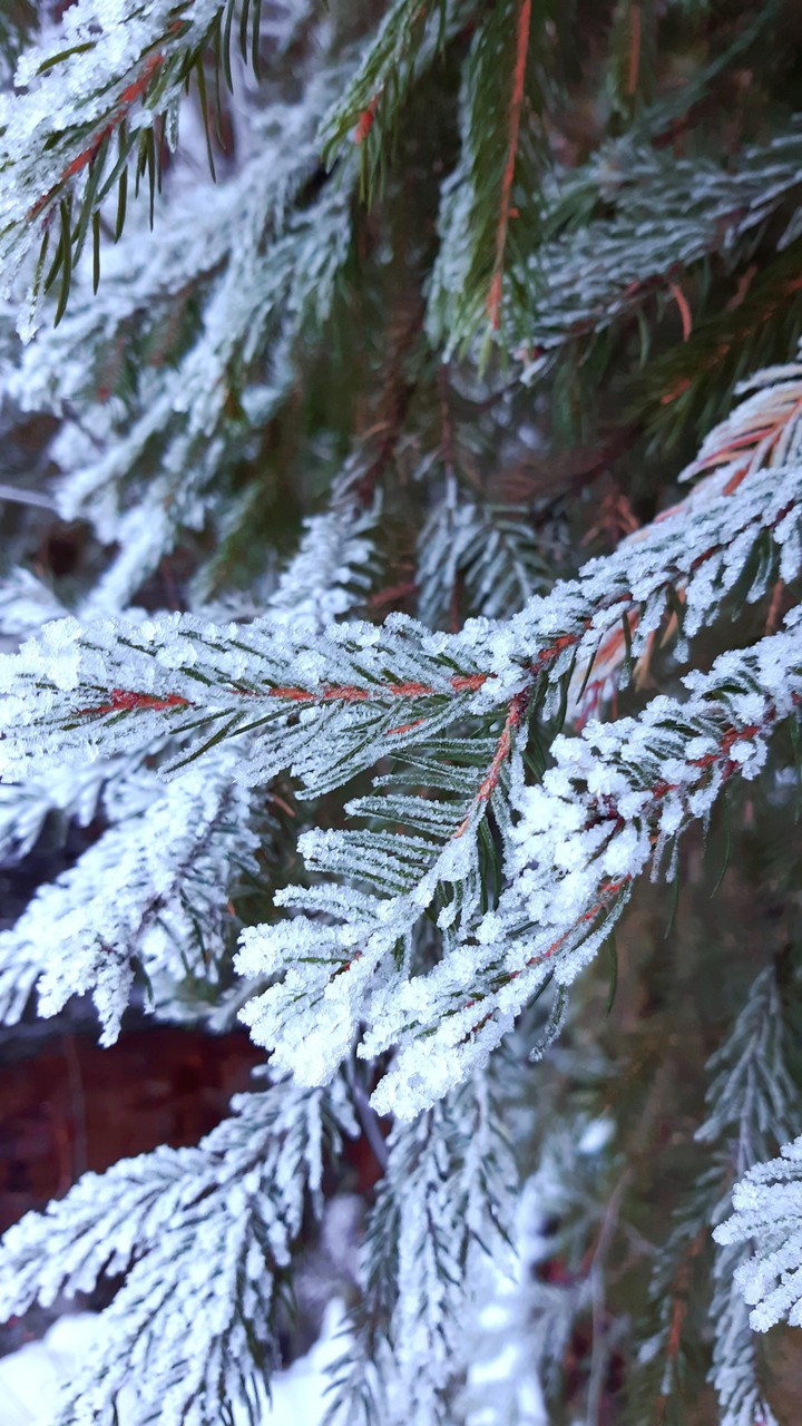 winter