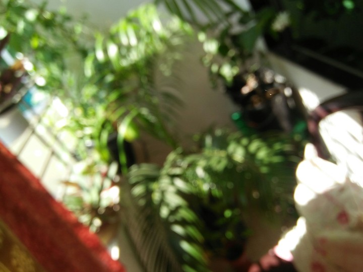 Green Life