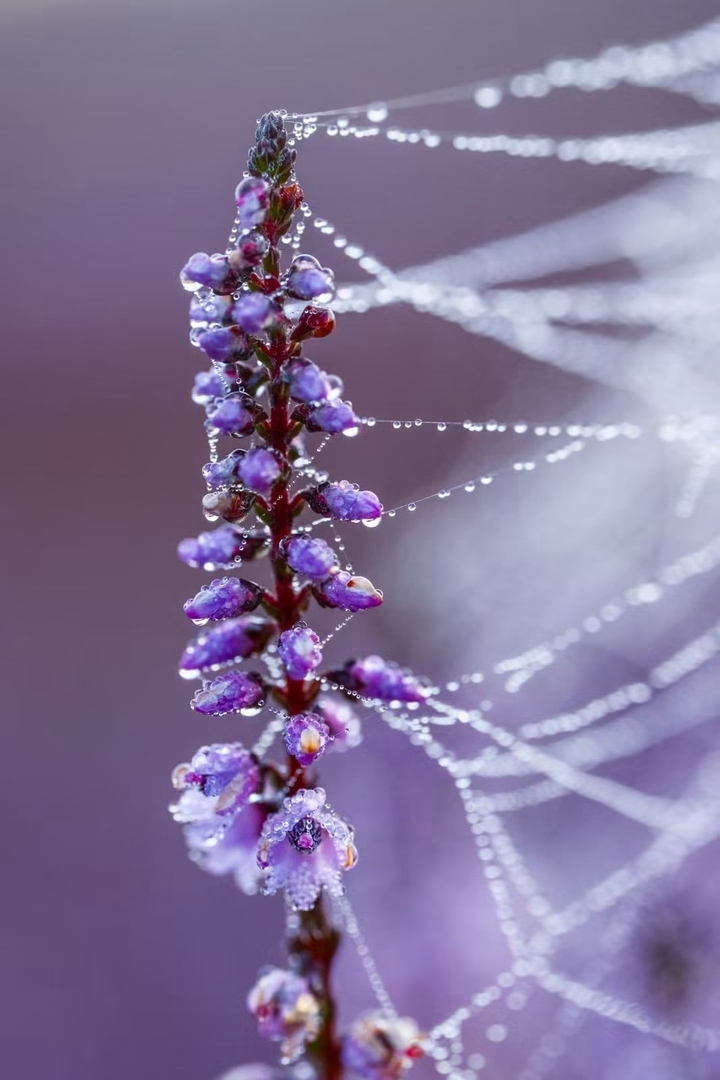 Nature is beautiful!