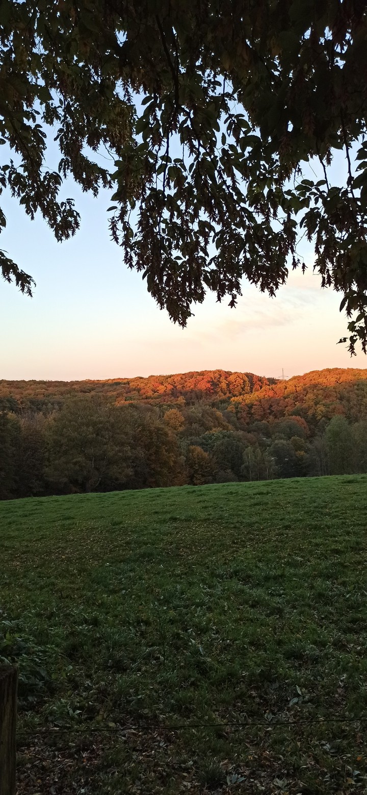Herbst