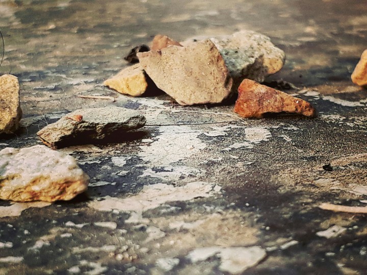 #Creation.!!°  LiL dry belt of Forrest ..