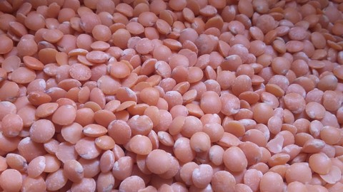 Grain