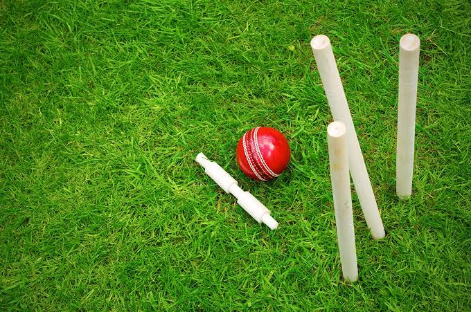 cricket is love❤️
