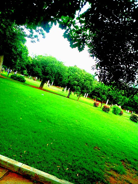 Park of london