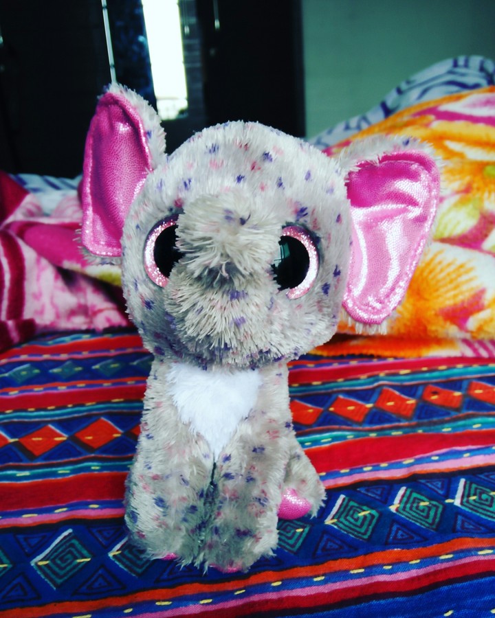 Teddy