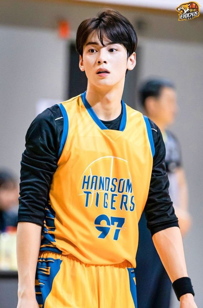 cha eun woo