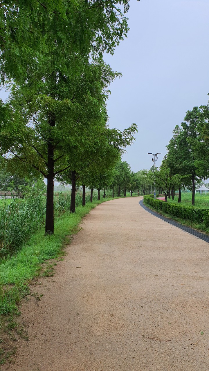 흐린 아침(cloudy morning)