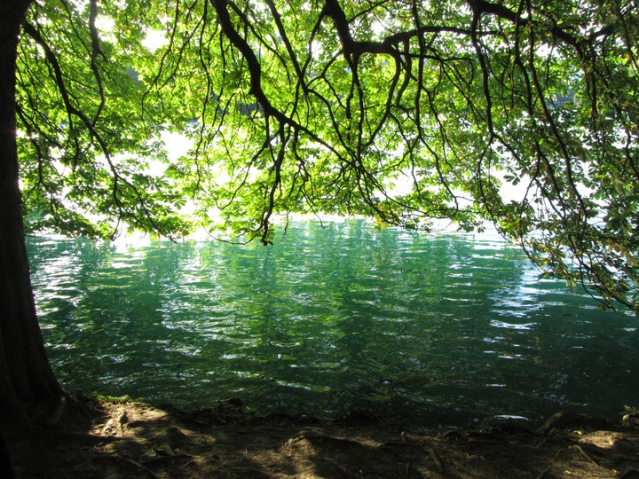 fonds d'écran Water, green