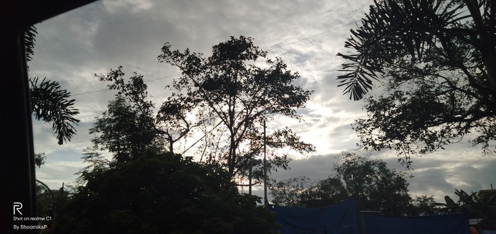 Scenery ?