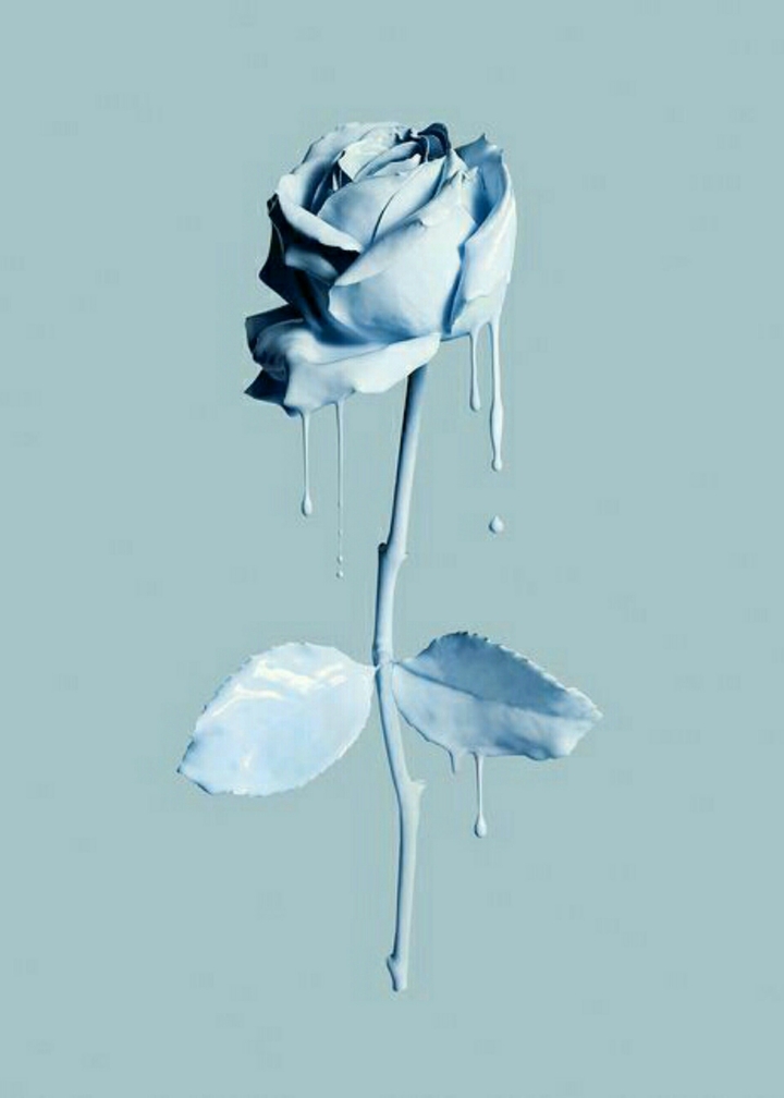 Blue rose