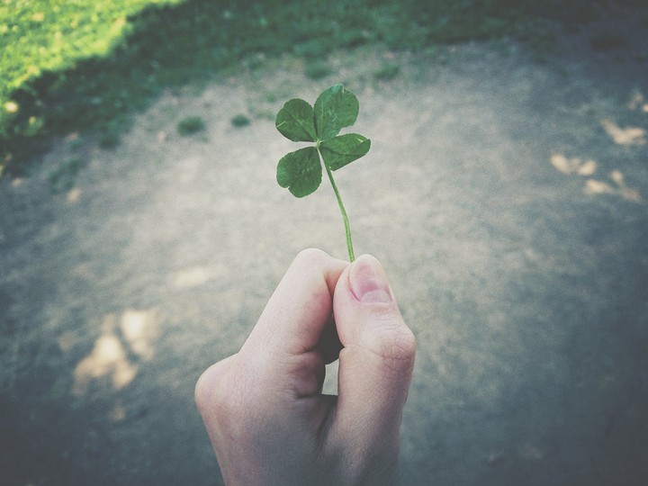 Hope you have a good day!
