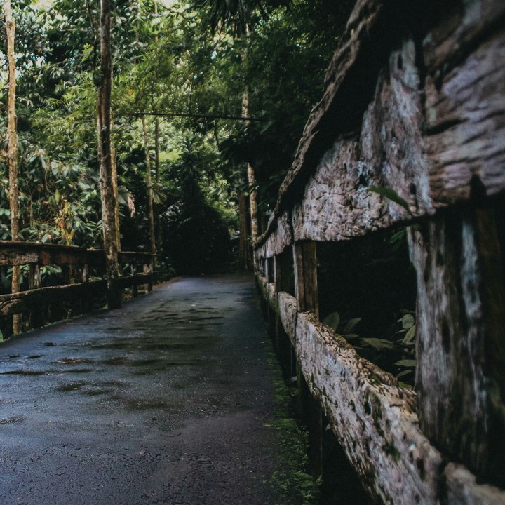 Nature