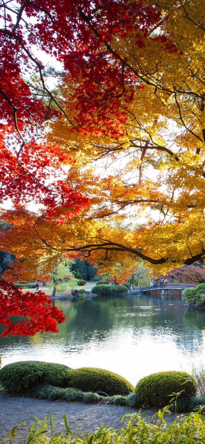 nature