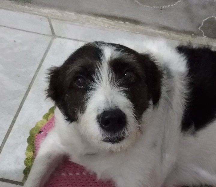 ♥️♥️♥️♥️ Pituca