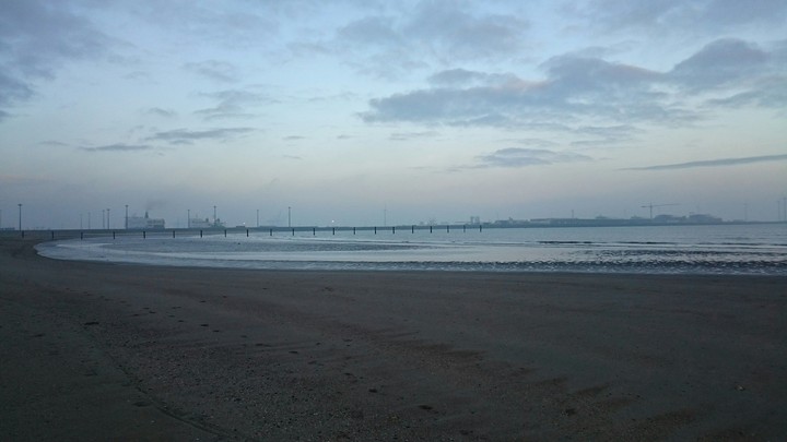 Harbor Seabruge