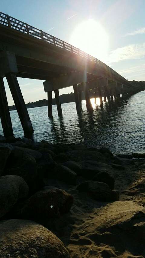 Bridge Views