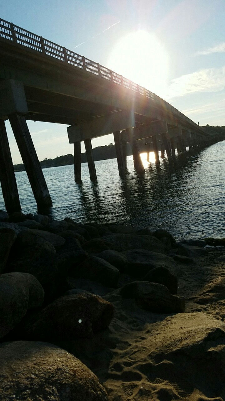 Bridge Views