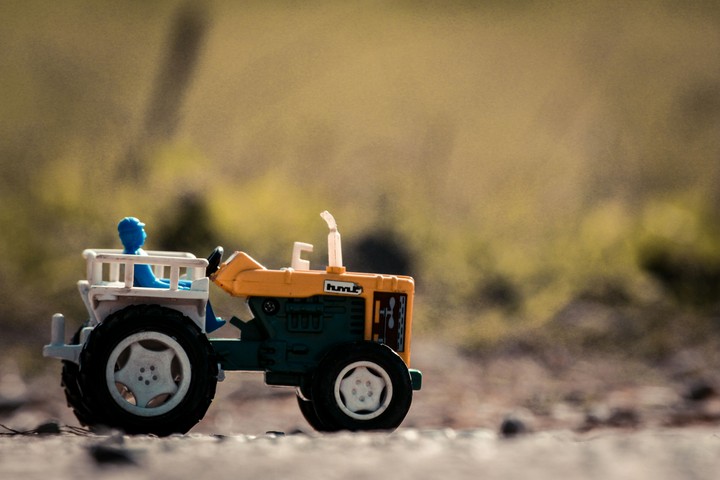 Toy