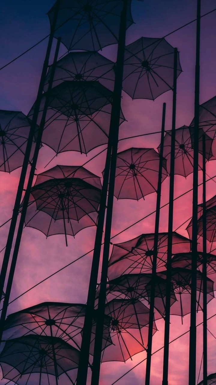 umbrella